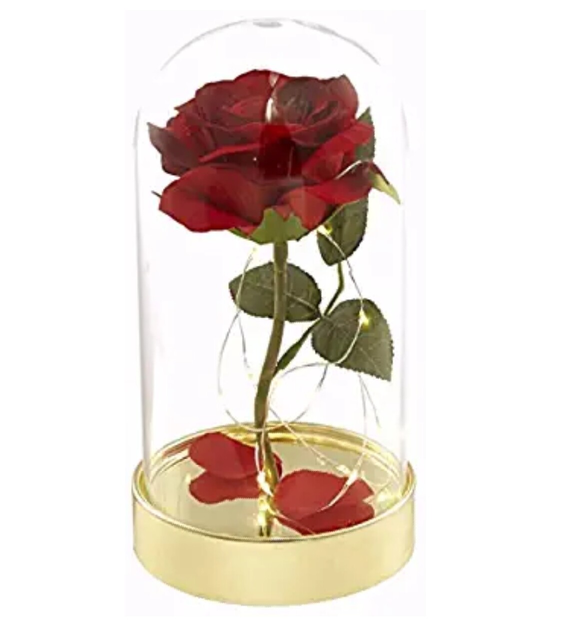 Enchanted Red Rose Beauty and the Beast