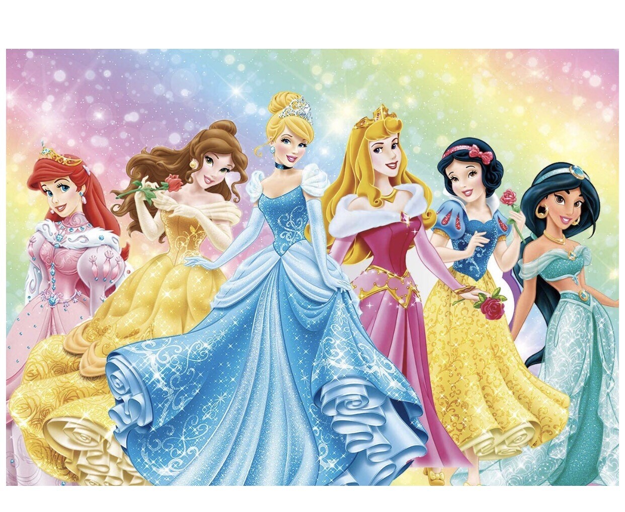 Princess Theme Backdrop