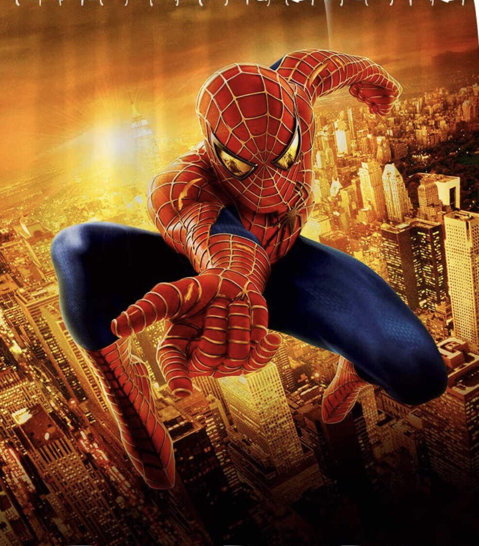 Spider-Man (A) Fabric Curtain