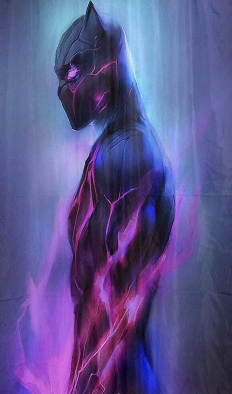 Black Panther Fabric Curtain