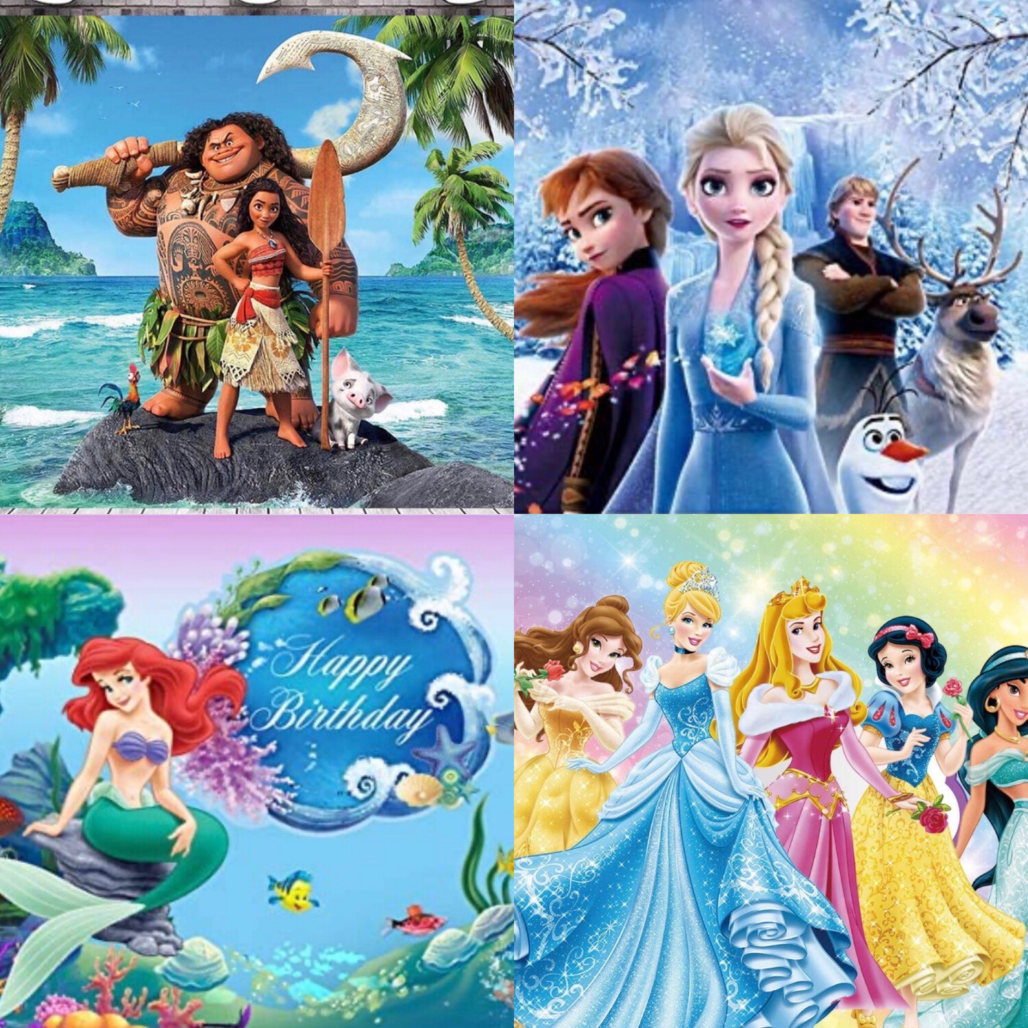 SGBES Birthday Package B