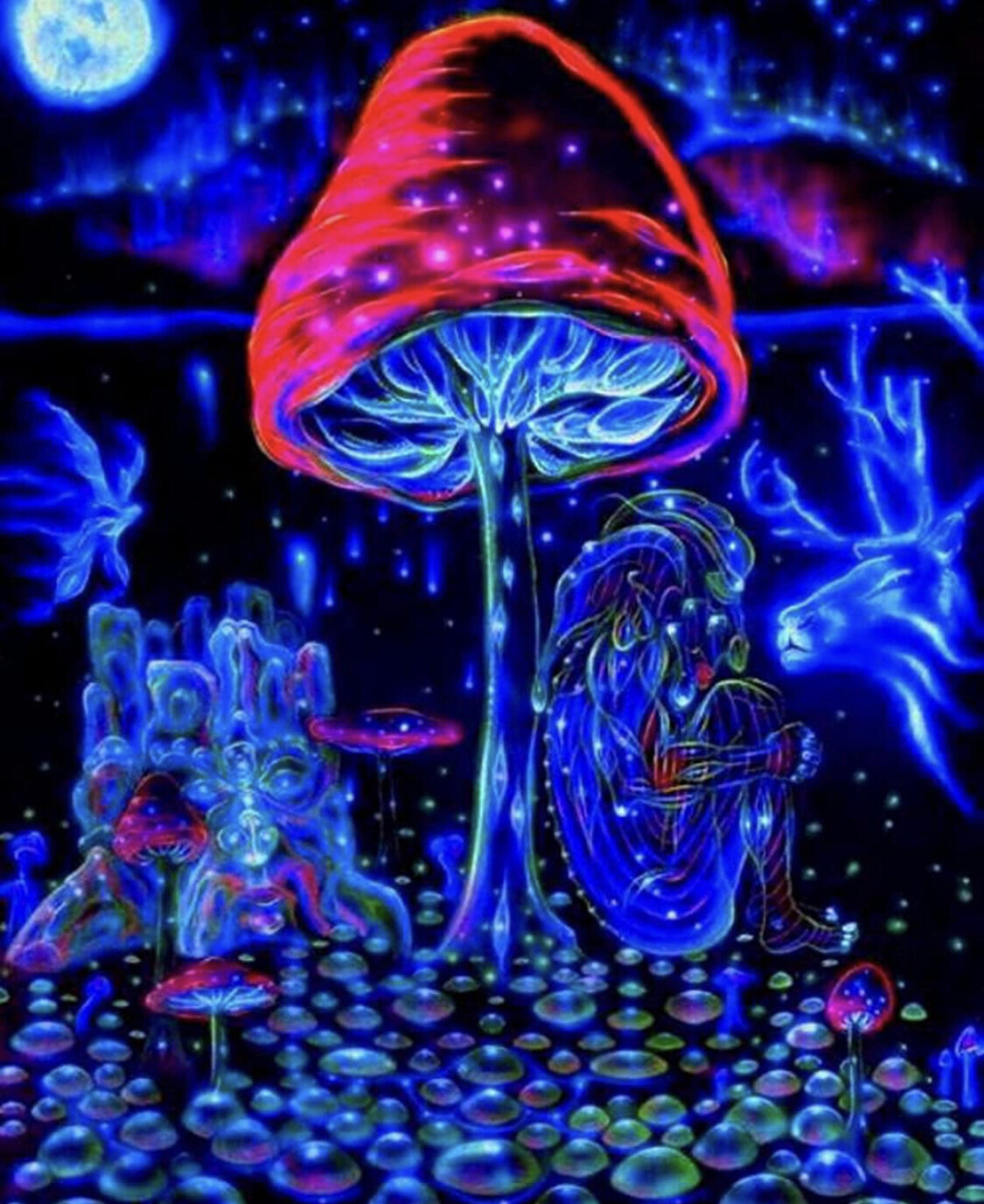 Mushroom Trippy Art Picture