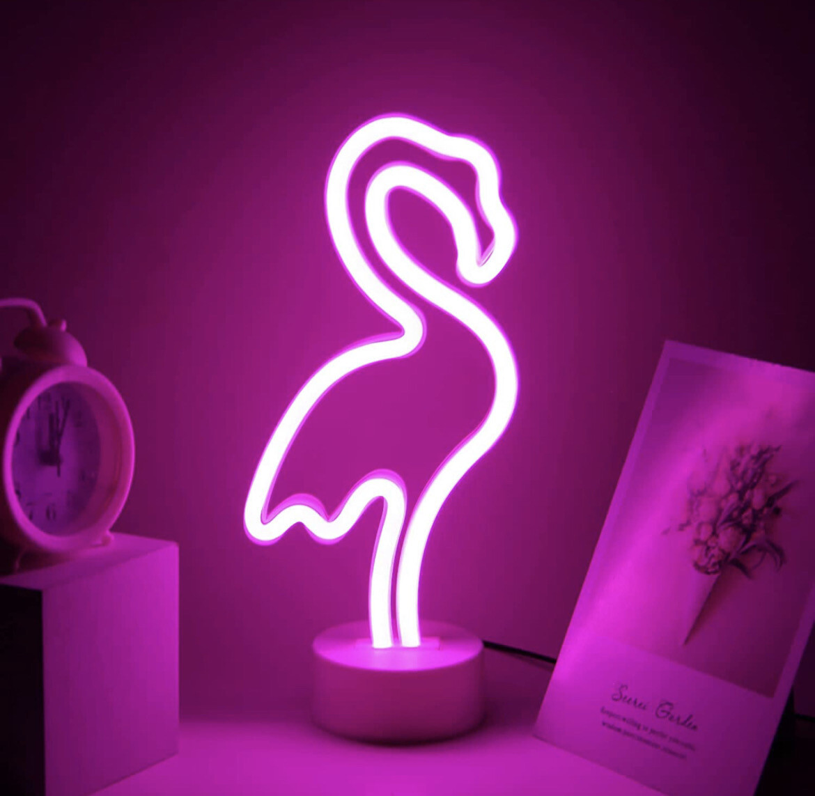 Flamingo