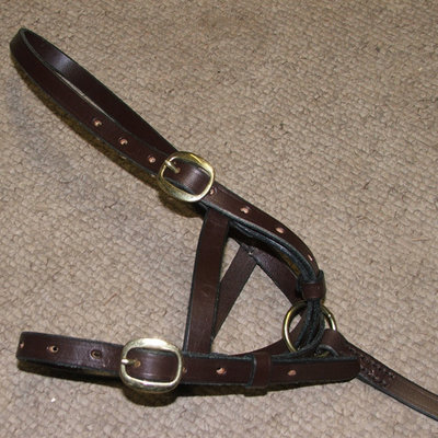 Handmade English Leather Foal Slip Headcollar