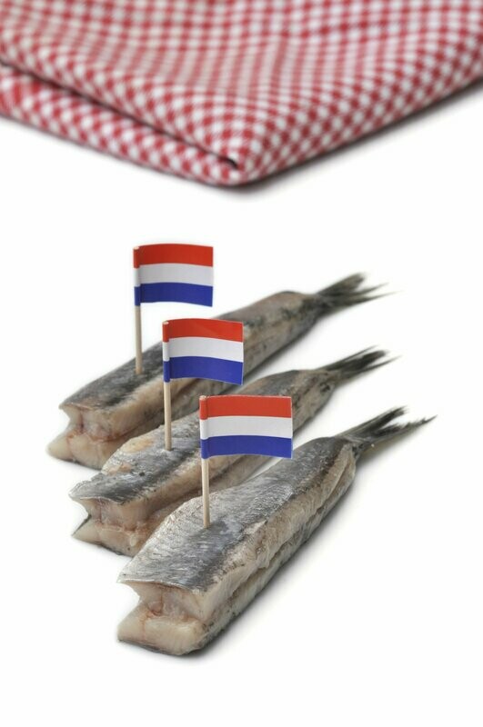 Hollandse nieuwe