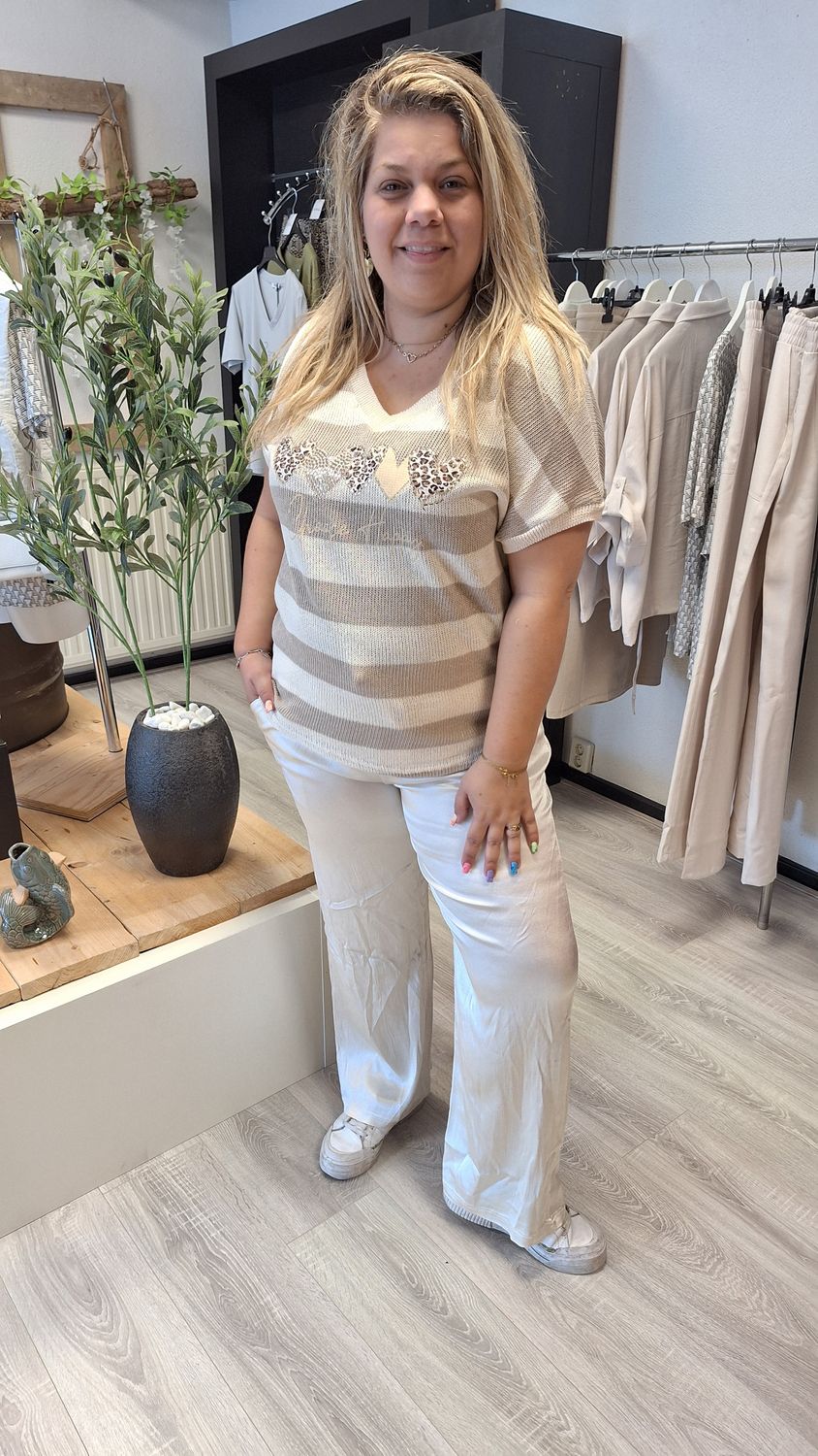 Truitje Lisa beige taupe