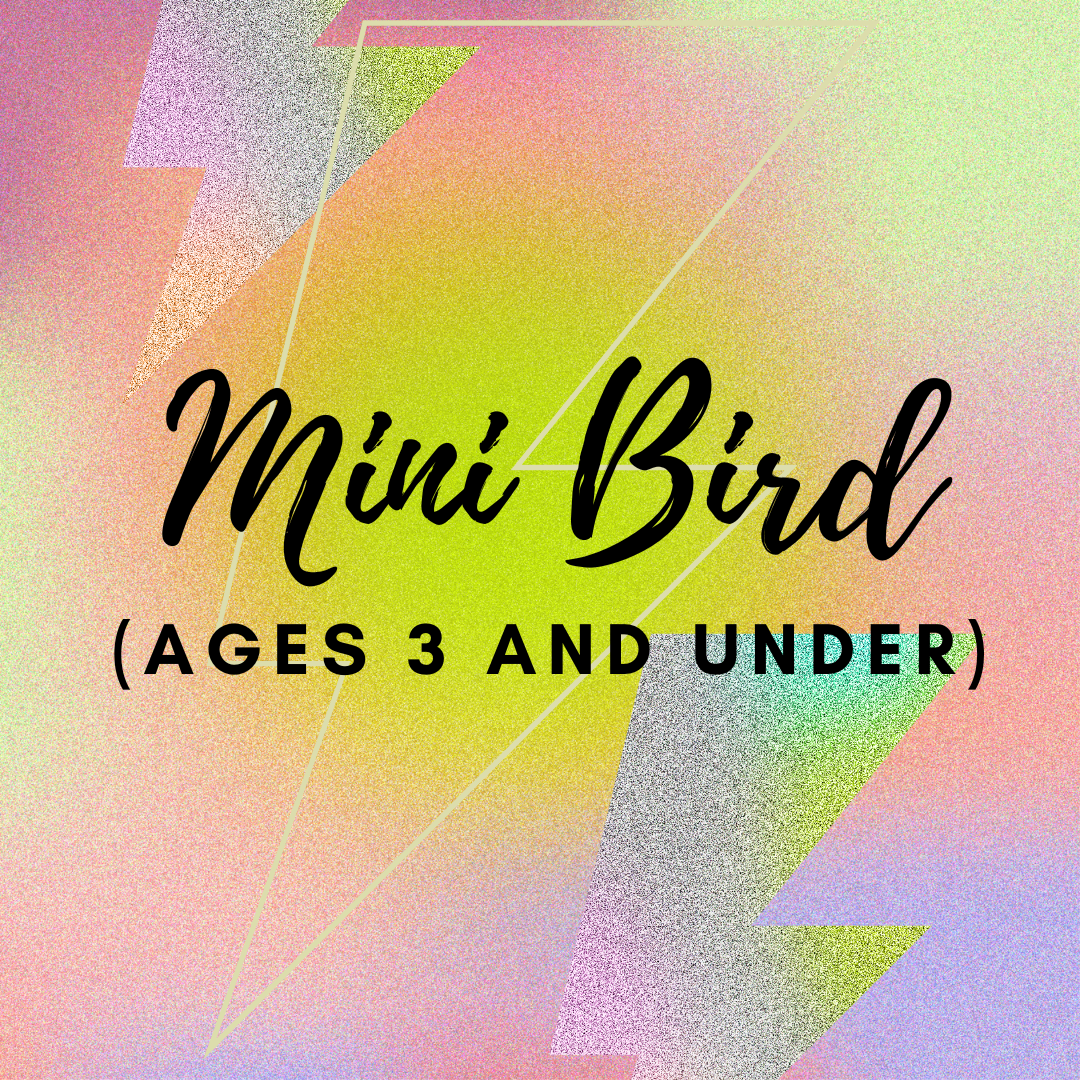 April 12, 10:30 a.m. WEDNESDAY - Mini Bird (ages 3 and under) @ GT Circuit!