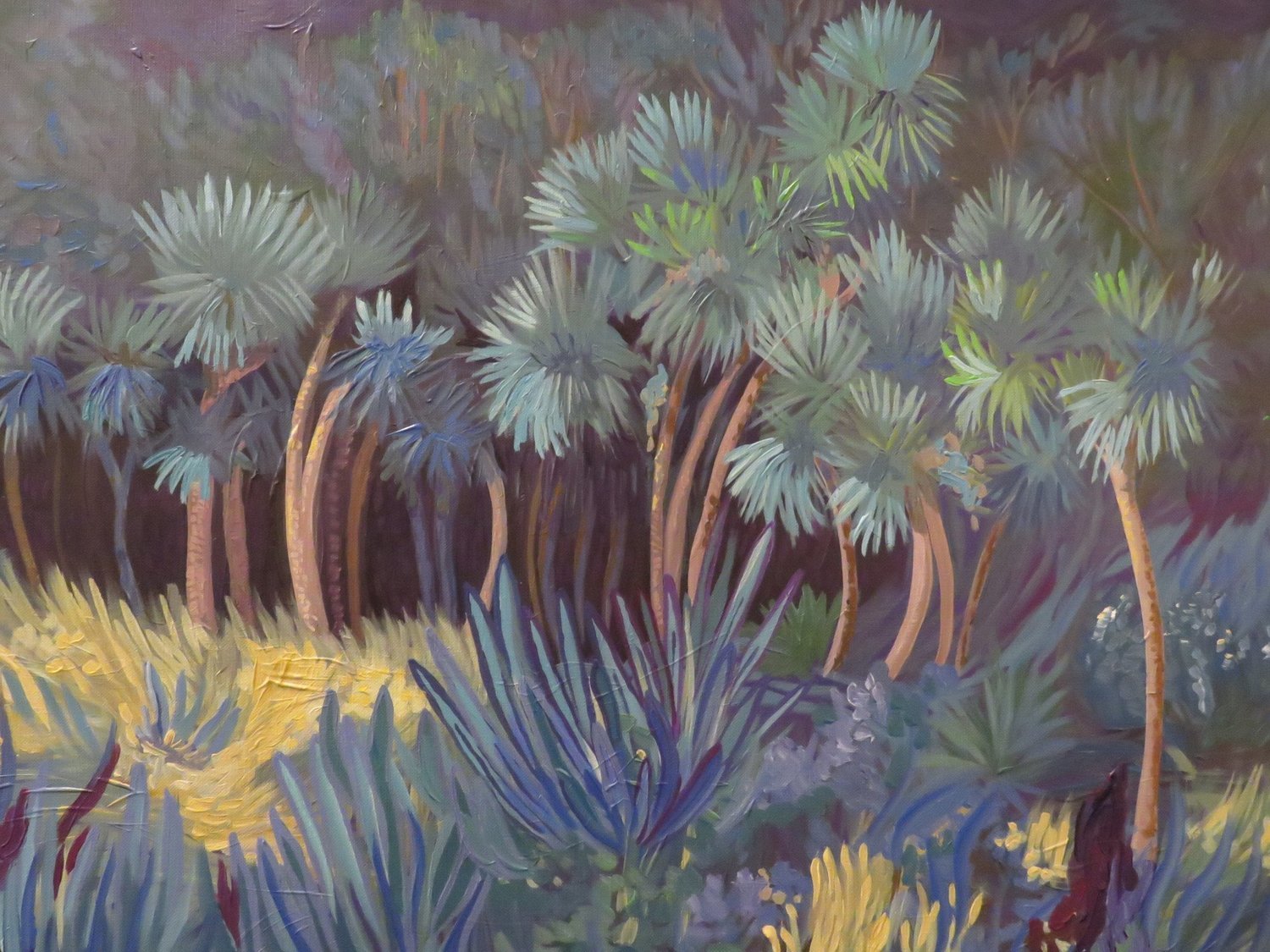 Cabbage Trees at Blue Spring