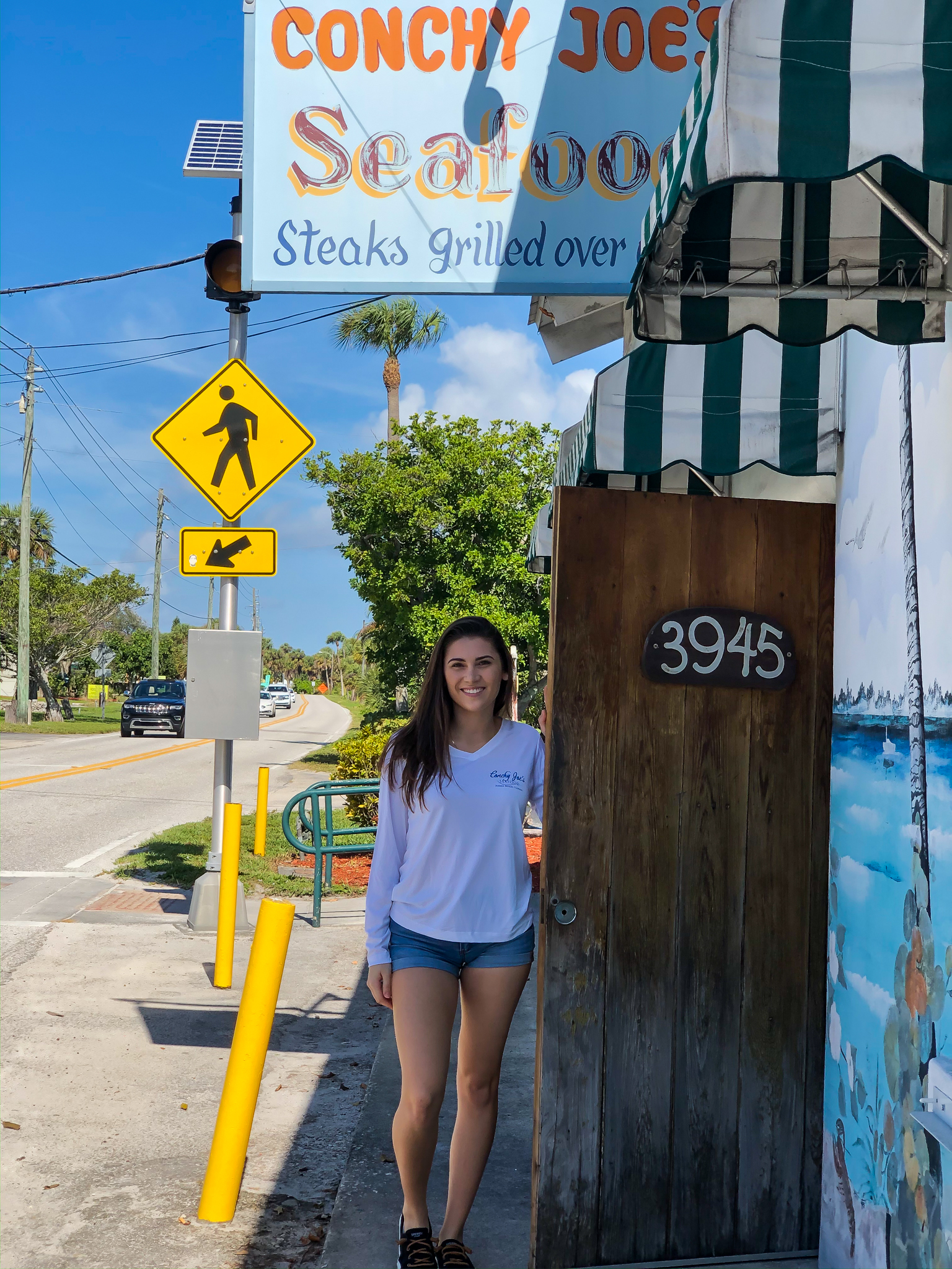 3 Fish Long Sleeve Performance V-Neck