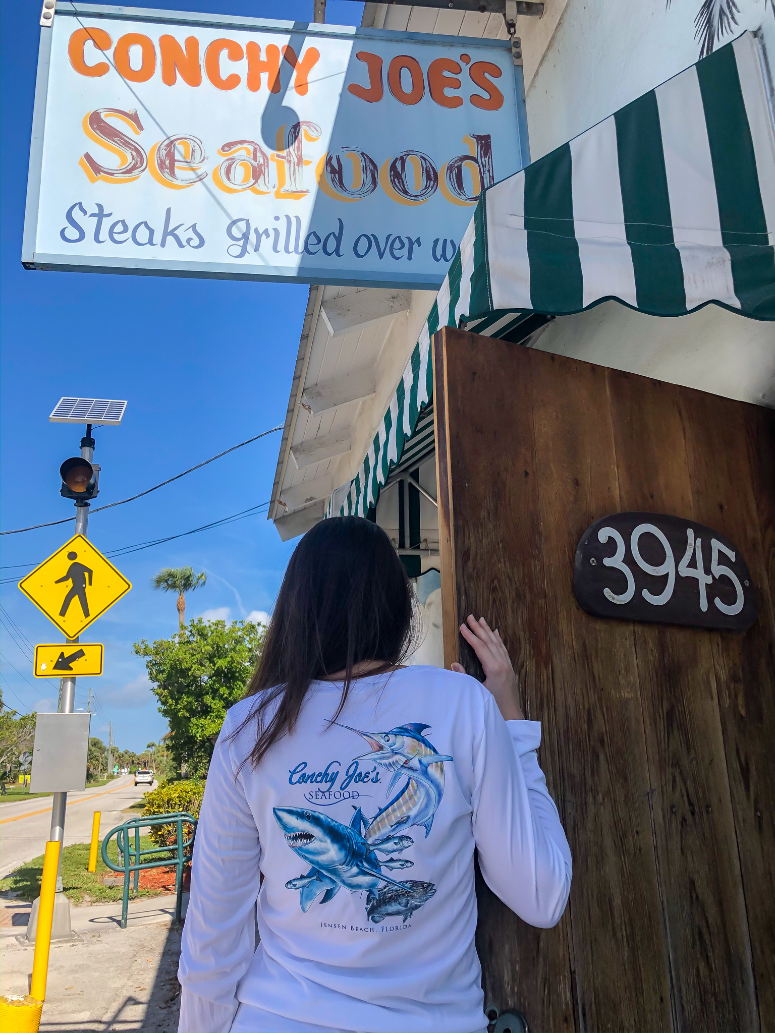 3 Fish Long Sleeve Performance V-Neck