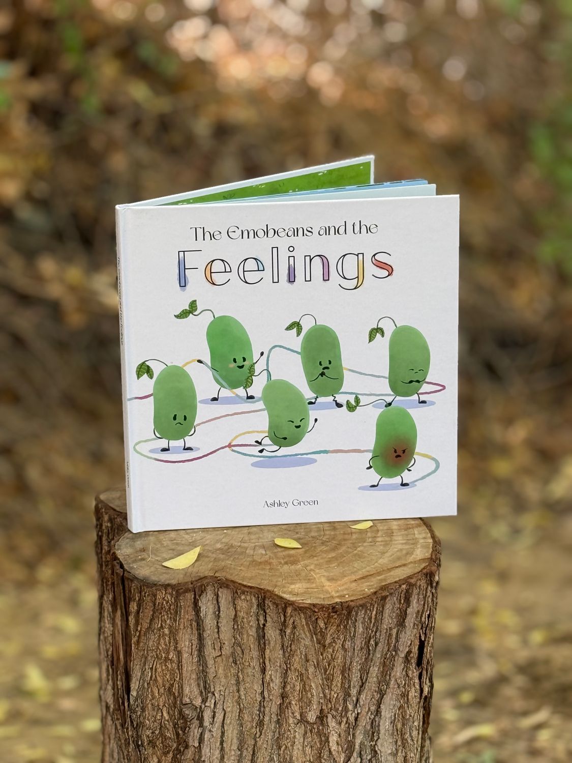 The Emobeans &amp; the Feelings
