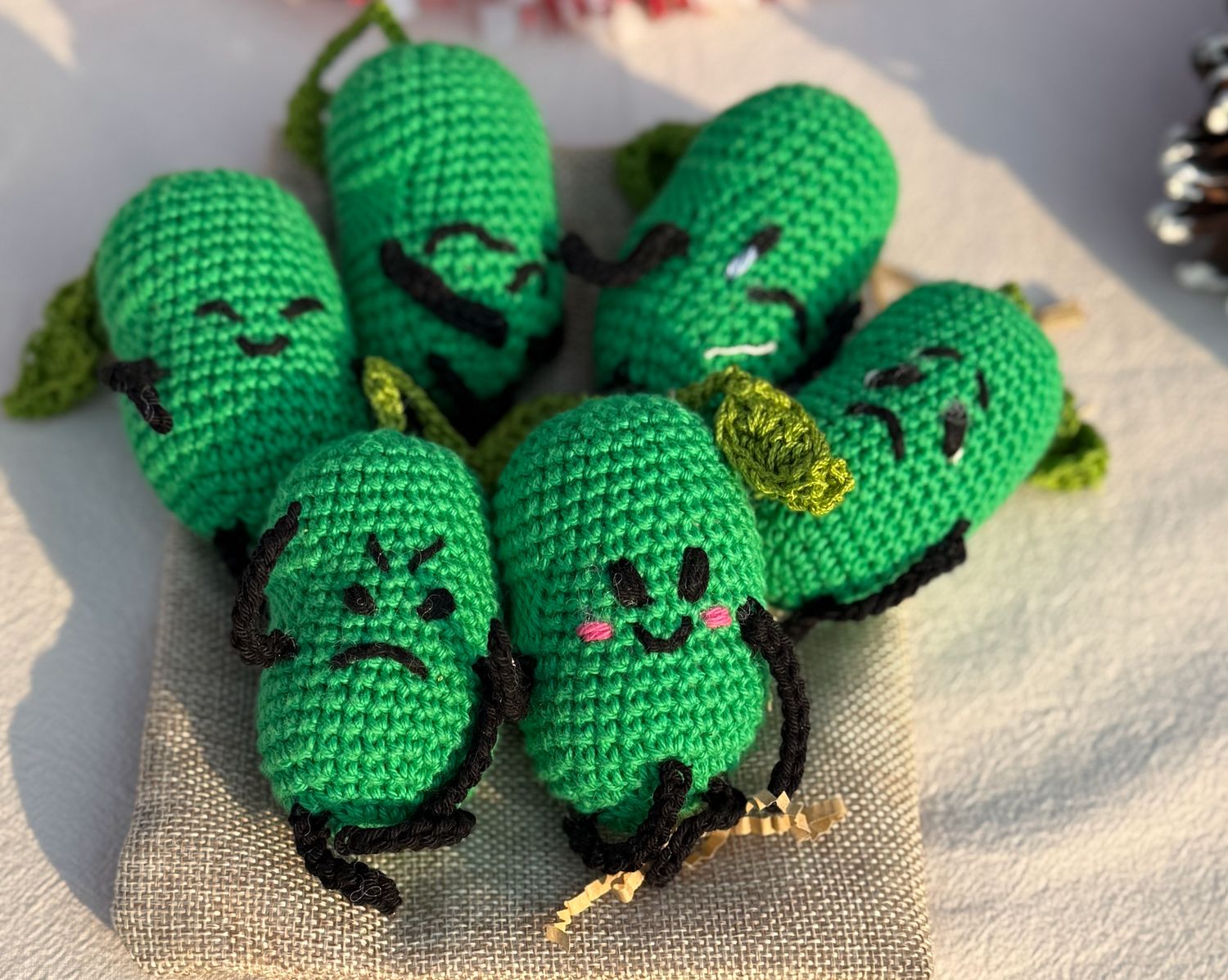 Crochet Emobean Set