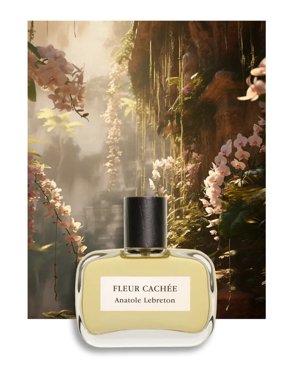 FLEUR CACHEE