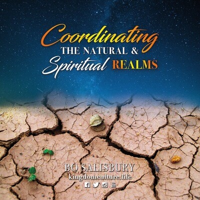 Coordinating the Natural and Spiritual Realms (MP3 download)