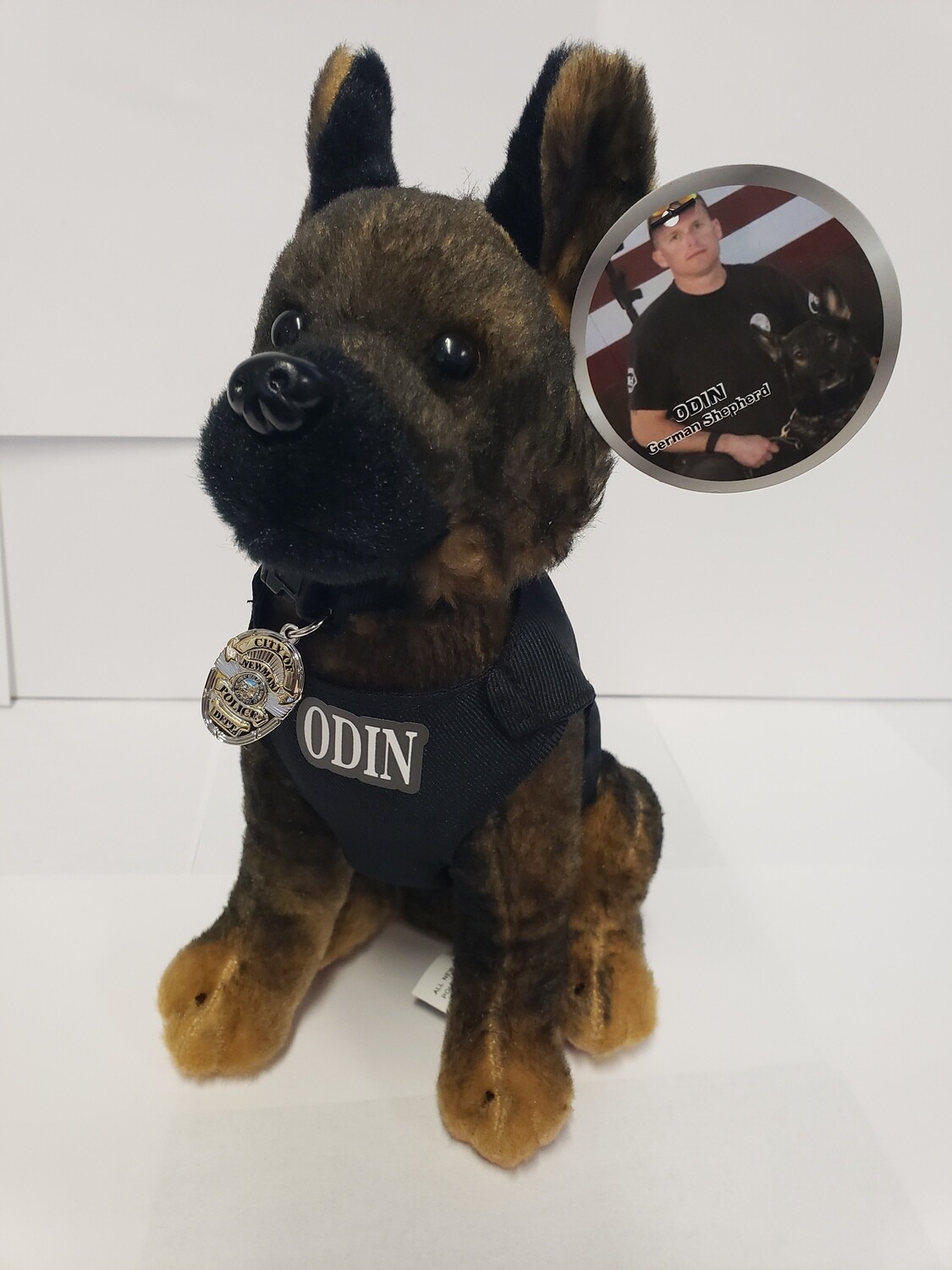 K9 Odin