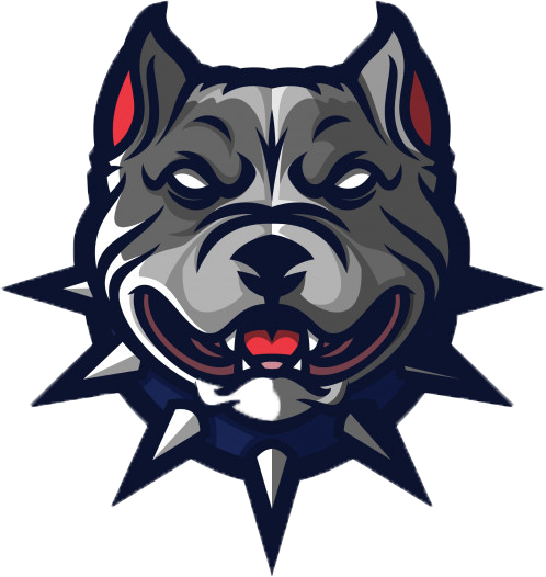 Winter Workout: Ages 8 - 16