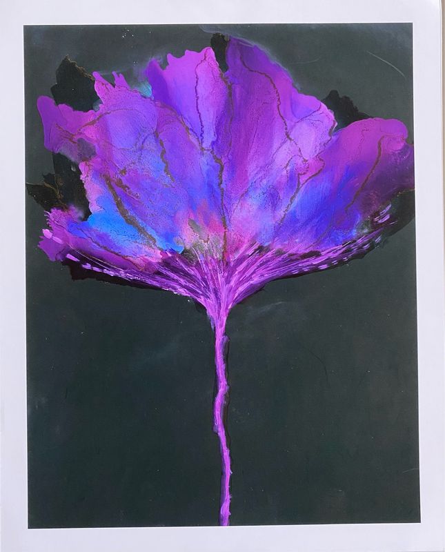 Aurora Floryalis