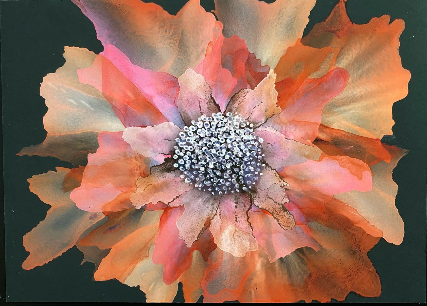 Ambrosia