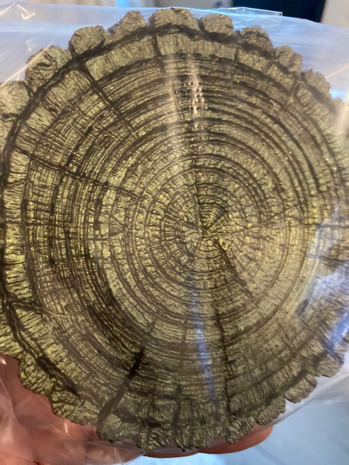 Coasters, Tree Ring style, Highly Textured
