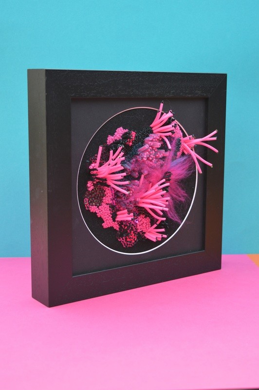 Pink Anemone