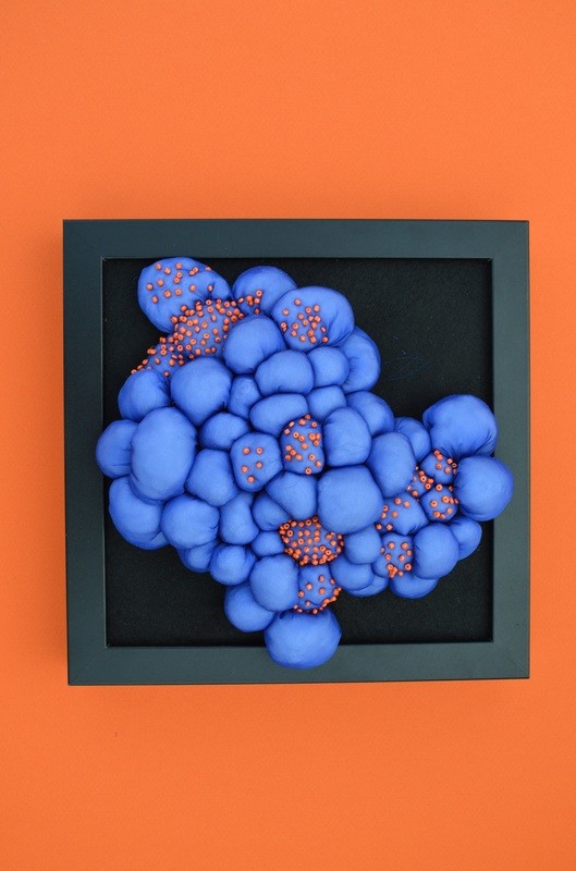 Blue Ricordia