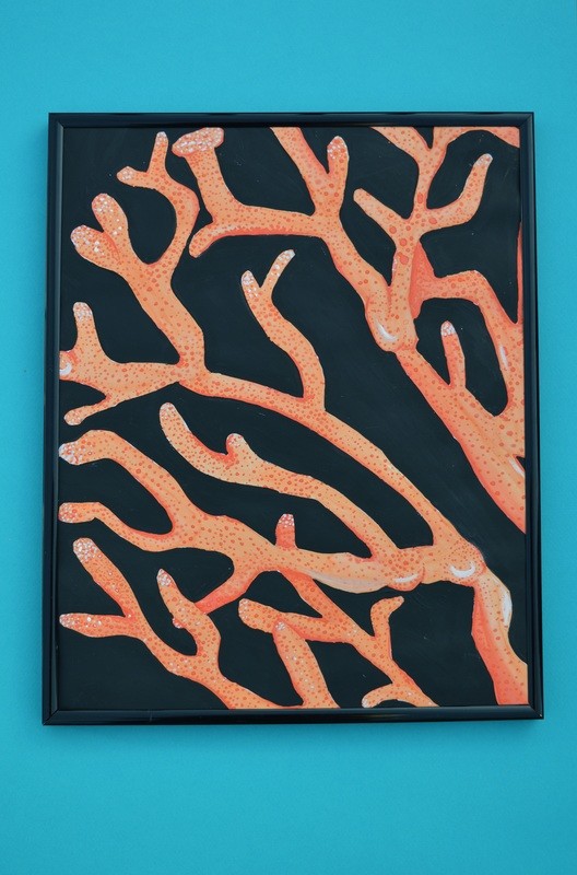Orange Gorgonian
