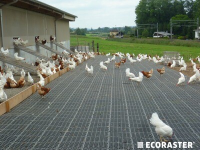 Ecoraster X30S