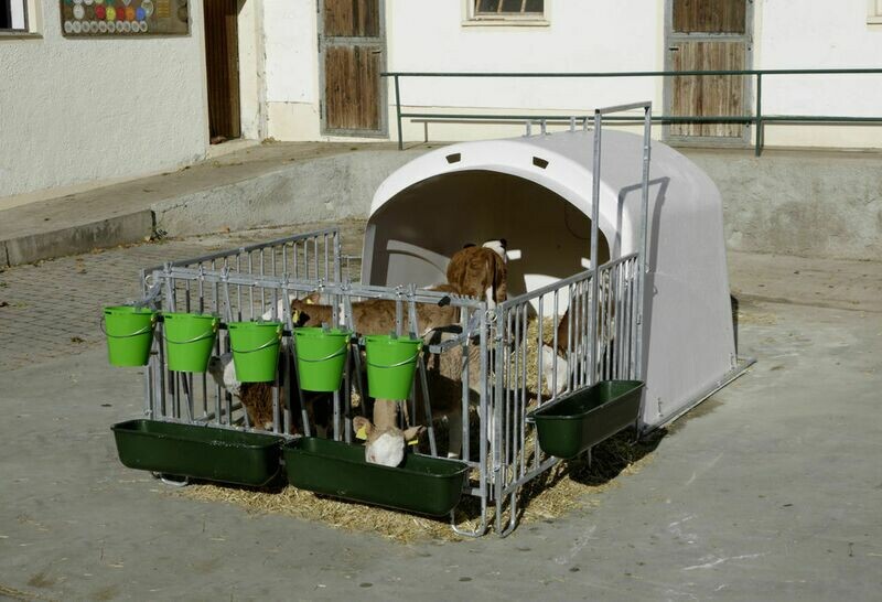 Kälberiglu Premium XL
