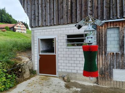 Elektrokratzbürste Cow Cleaner Swing
