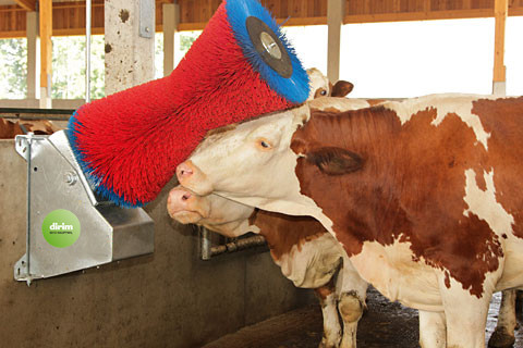 Elektrokratzbürste Cow Cleaner Wandmodell