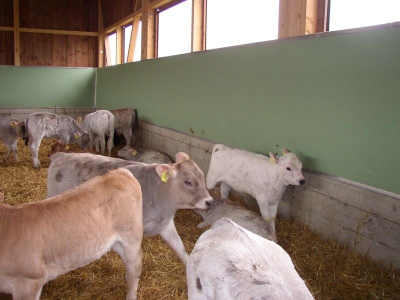 Dirona Wandverkleidung