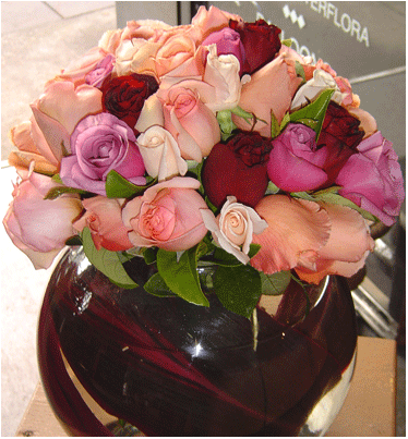 Bouquet Farm Roses