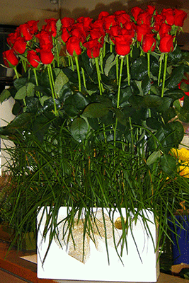 Floral Arrangements