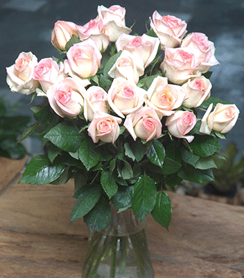 Roses - Long Stem Best Quality