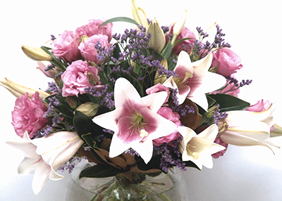 Posies