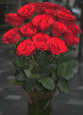 Roses - Long Stem Best Quality