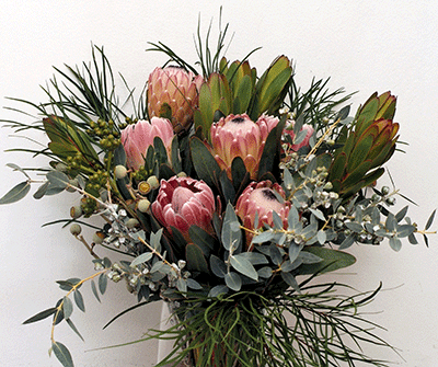 Occasions - Floral Arrangements