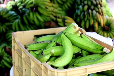 Banano c/ certificación organica