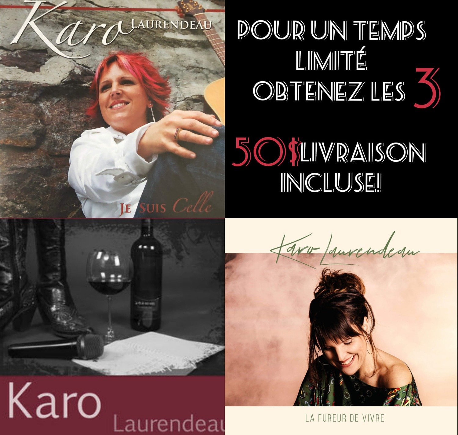 Promo des fêtes - 3 albums