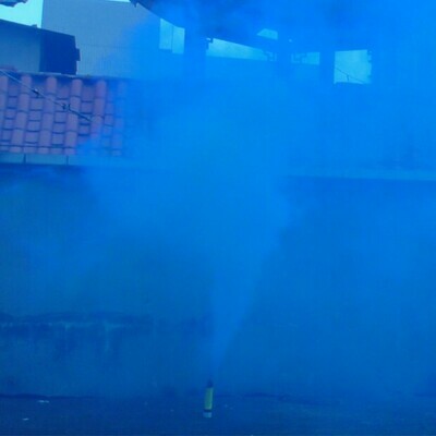 Blauwe Rookstaaf met Strijkkop Blauwe Rookstaaf met Strijkkop
