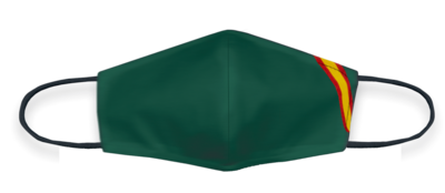 Mascarillla Verde Bandera