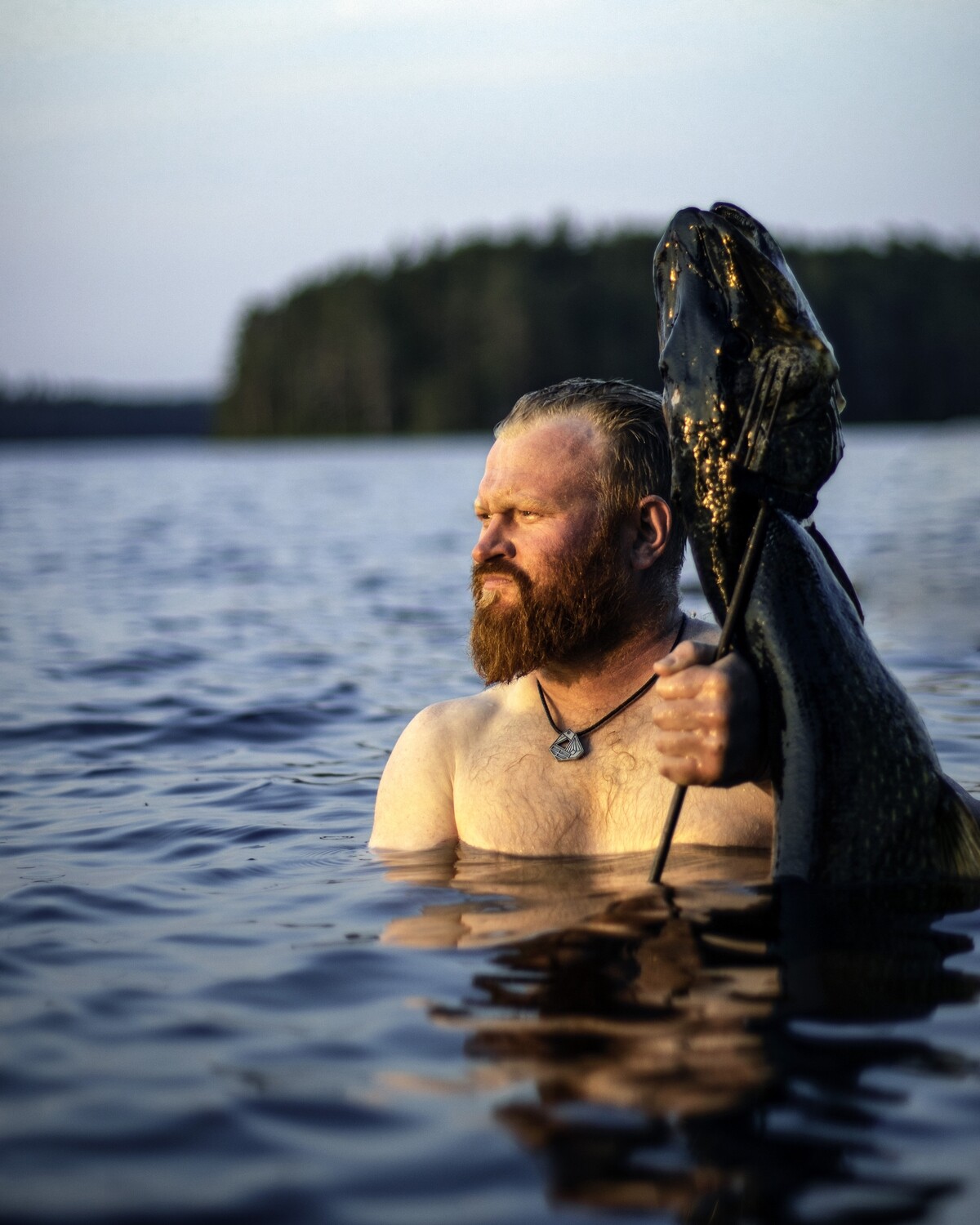 Ahti-postikortti