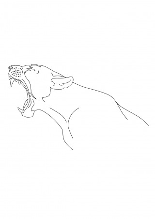 Gravure ANIMAUX