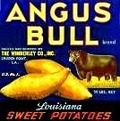 Angus Bull Sweet Potatoes