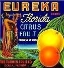 Eureka Citrus