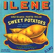 Ilene Sweet Potatoes
