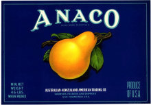Anaco Pears