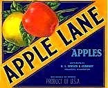 Apple Lane Apples