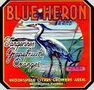 Blue Heron Citrus