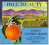 Hill Beauty Oranges